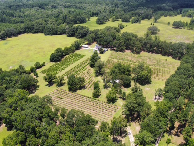 dji_fly_20230708_133424_83_1688837756202_photo_optimized